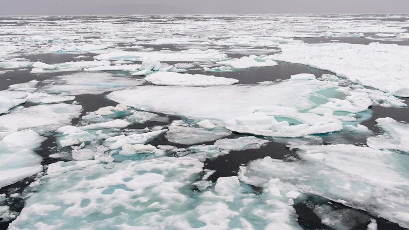 Arctic Sea
