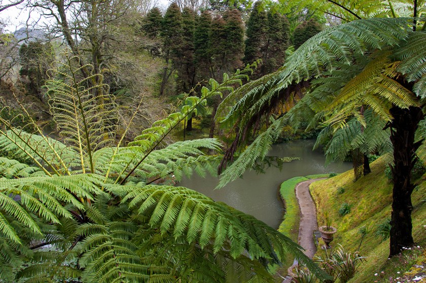 Azores