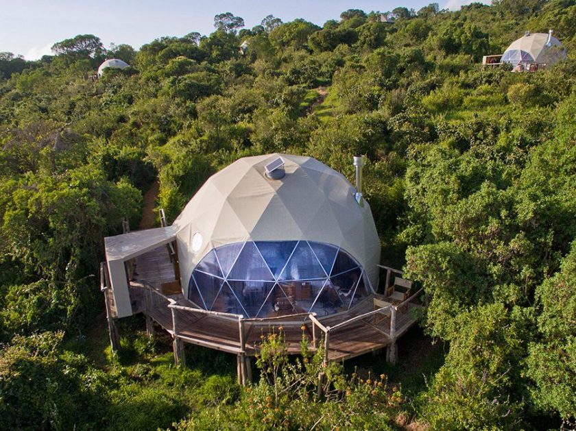 Dome African Safari