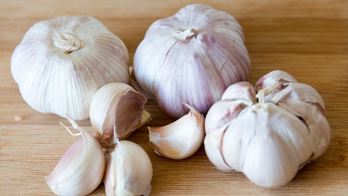Garlic