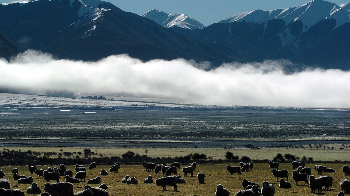 New Zealand