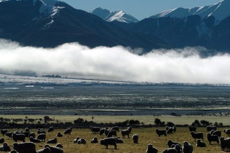 New Zealand