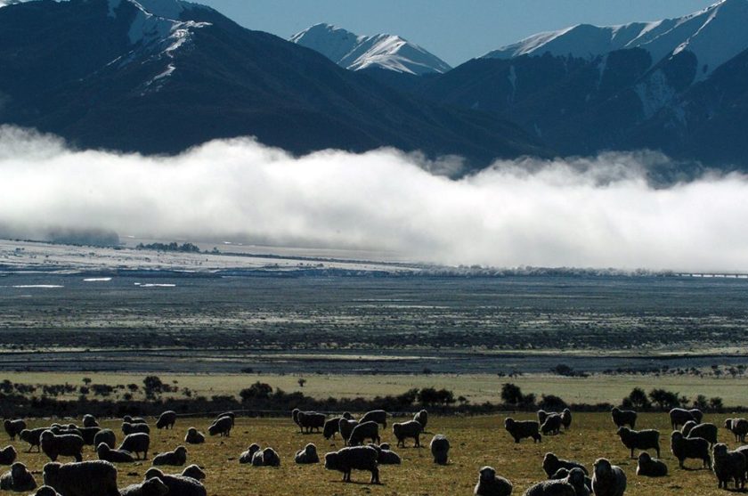 New Zealand