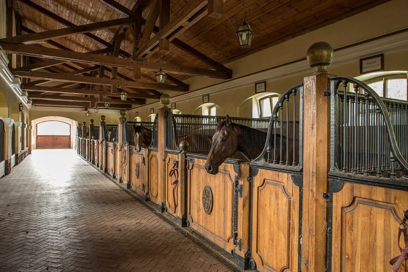 Polish Polo Club