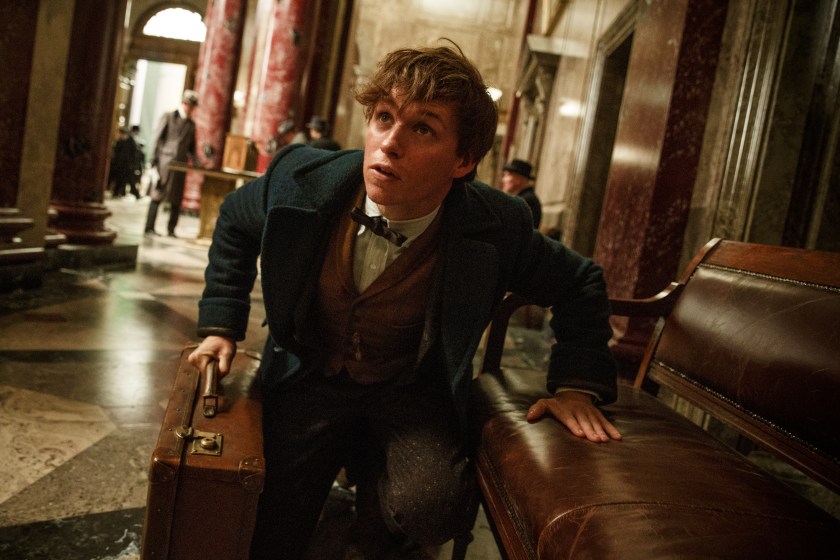 Eddie Redmayne stars in 'Fantastic Beasts and Where to Find Them' (Courtesy Warner Bros. Entertainment)