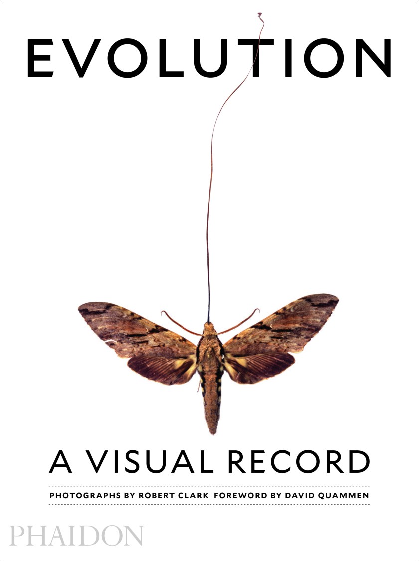 (Robert Clark/Published by Phaidon)