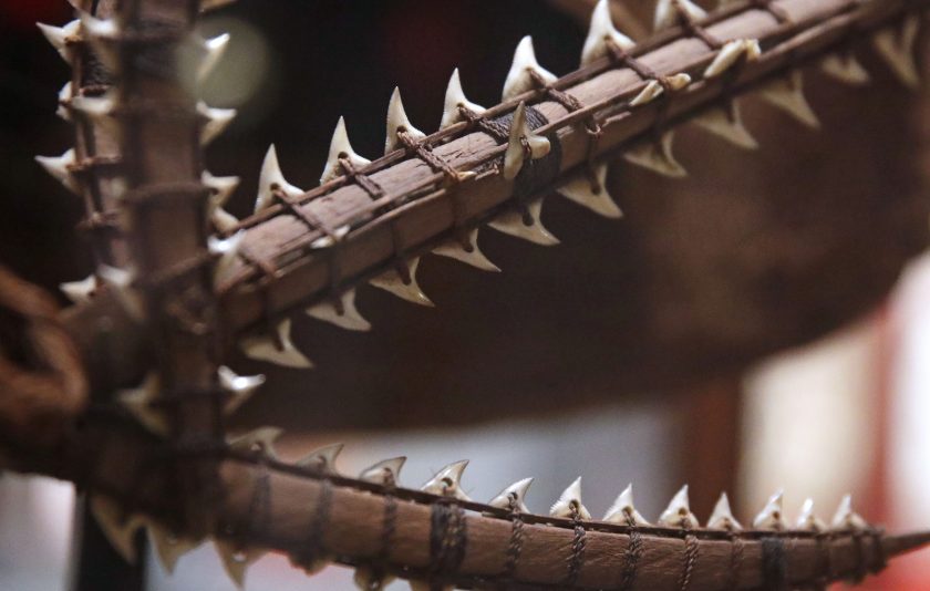 Detail of an ancient shark tooth sword from the South Pacific are displayed as part of the Arts of War exhibit at the Peabody Museum of Archaeology & Ethnology at Harvard University in Cambridge, Mass., Thursday, Oct. 13, 2016. The Peabody, one of the oldest and largest museums in the world focused on the study of societies and cultures, turns 150 years old this month. (AP Photo/Charles Krupa)