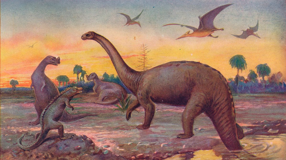 The dinosaurs