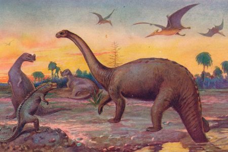 The dinosaurs