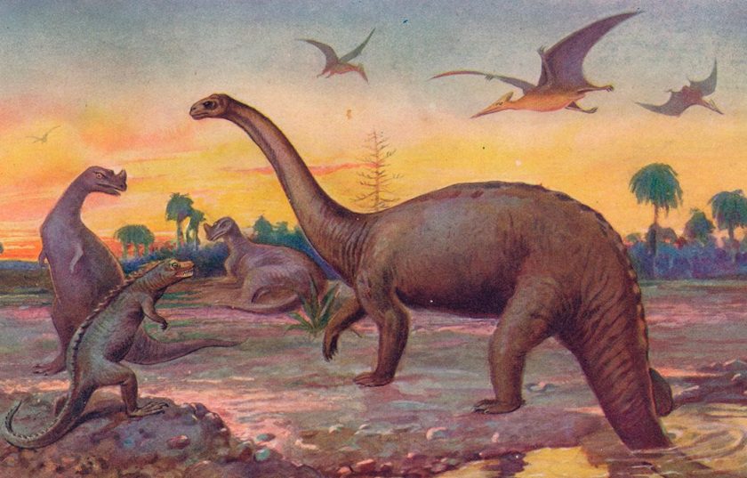 The dinosaurs