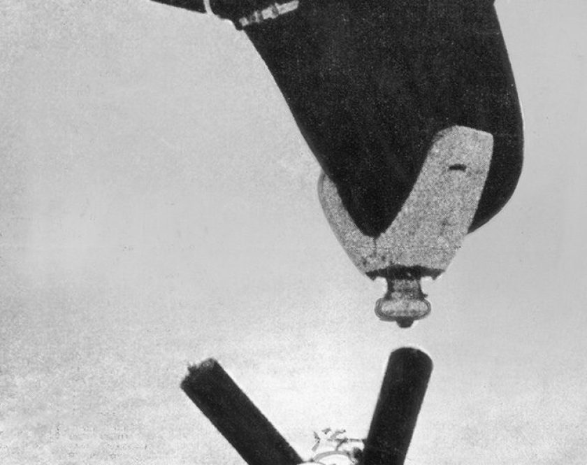 Bat Bombs and Other Weaponized Animals