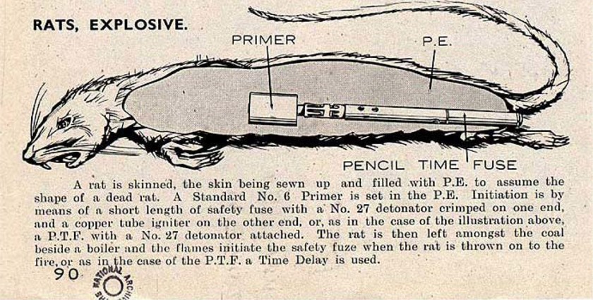 Bat Bombs and Other Weaponized Animals