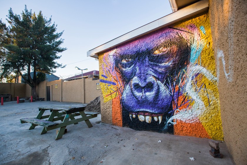 Falko One, South African Street Artist