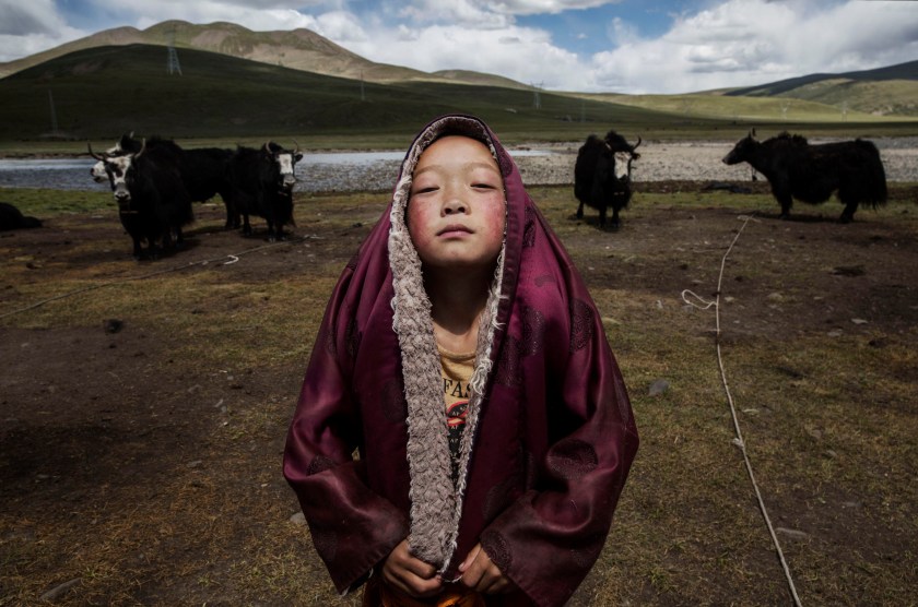 Tibetan nomads face many challenges to their traditional way of life including political pressures, forced resettlement by China's government, climate change and rapid modernization. The Tibetan Plateau, often called "the Roof of the World," is the world's highest and largest plateau. (Kevin Frayer/2016 Sony World Photography Awards)