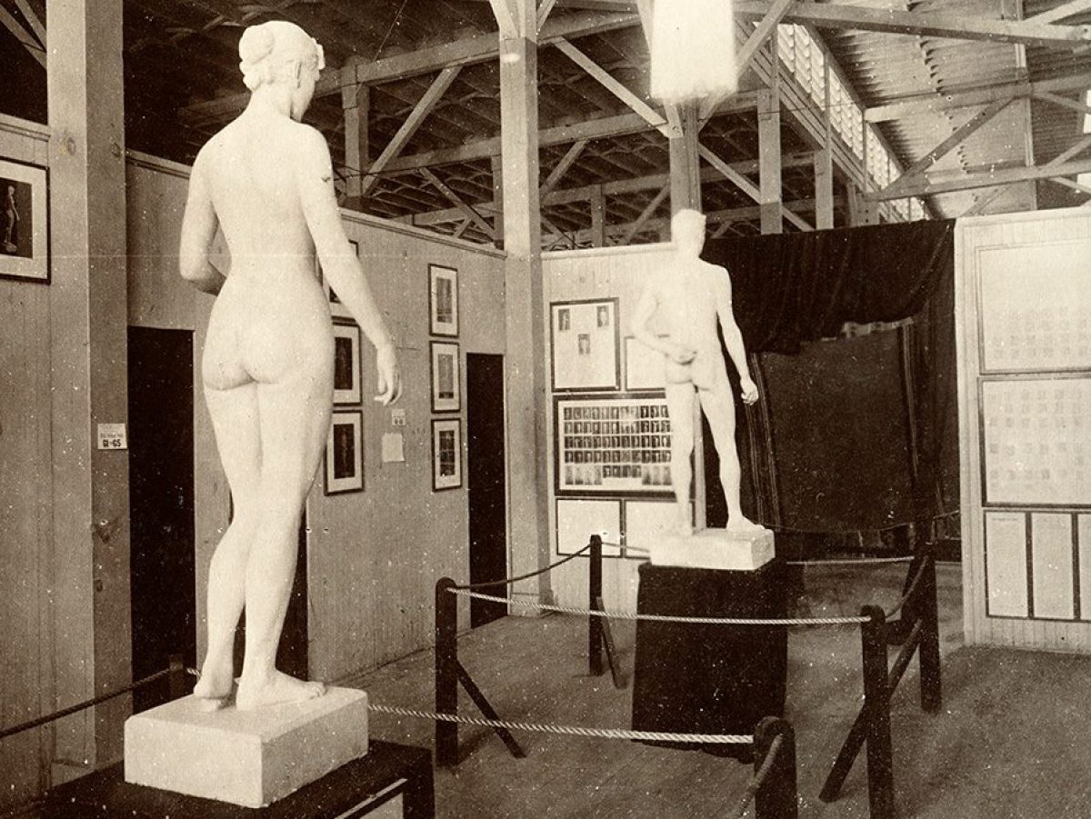 Harvard's Peabody Museum to Display Curiosities From World's Fair