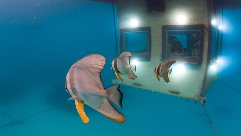 Underwater Room in Zanzibar