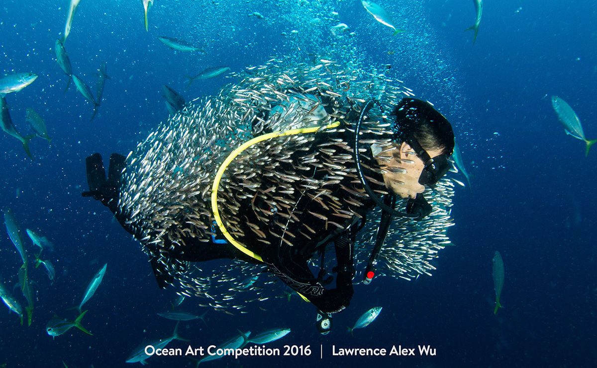 Ocean Art Contest Winners