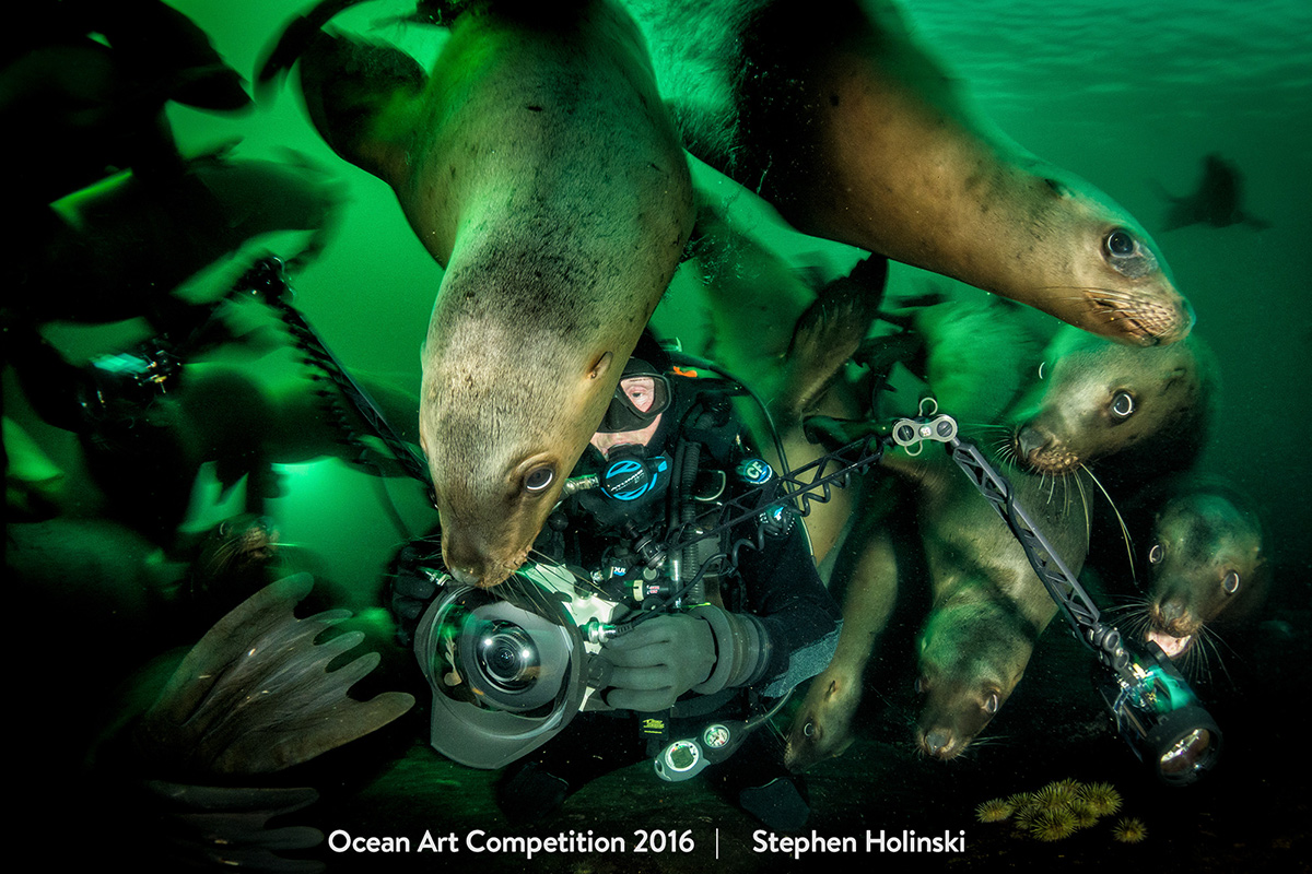 Ocean Art Contest Winners