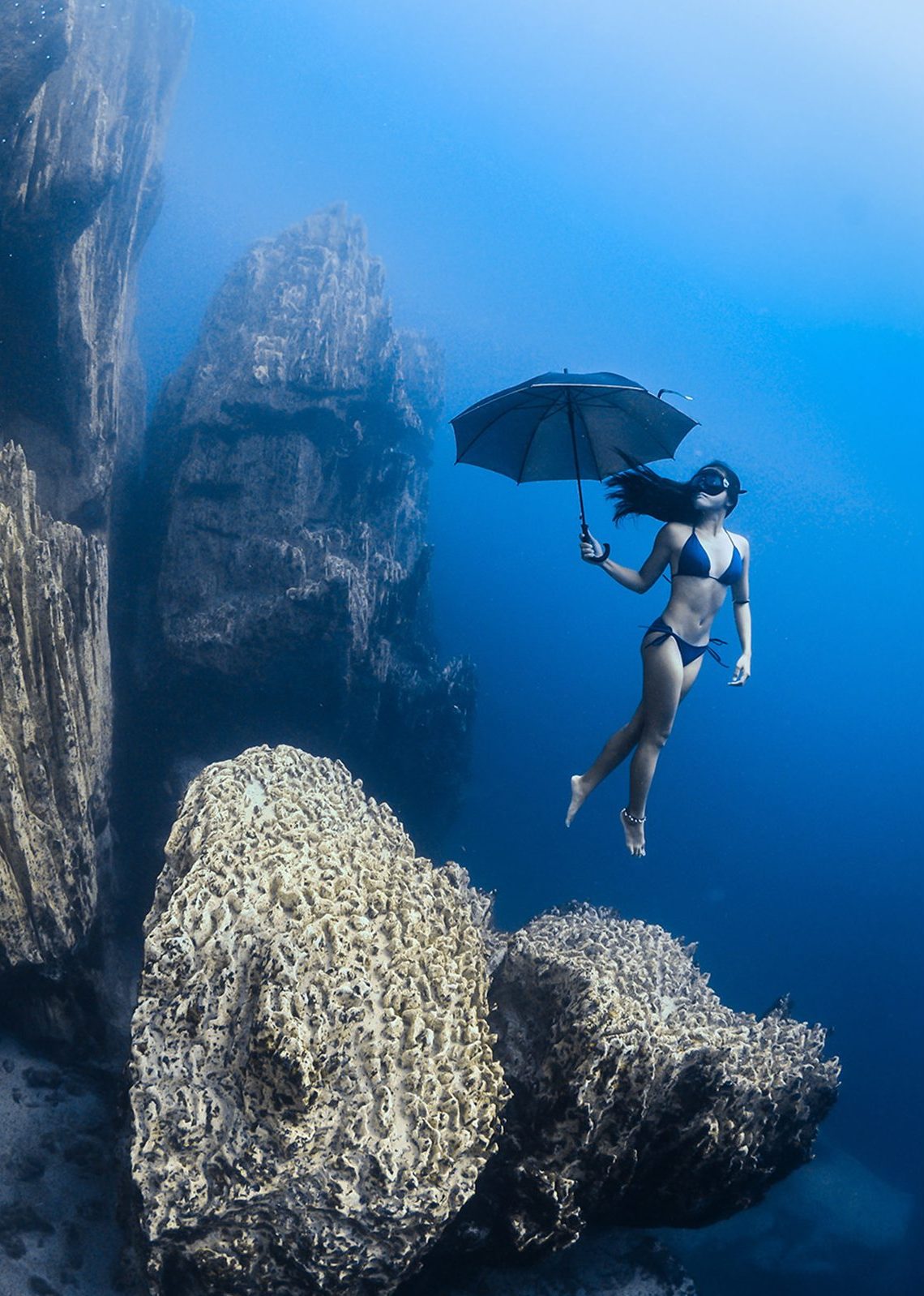 Ocean Art Contest Winners