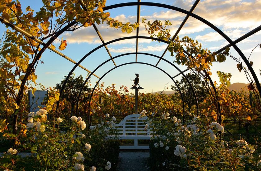 The Best Wine Travel Destinations in the World
