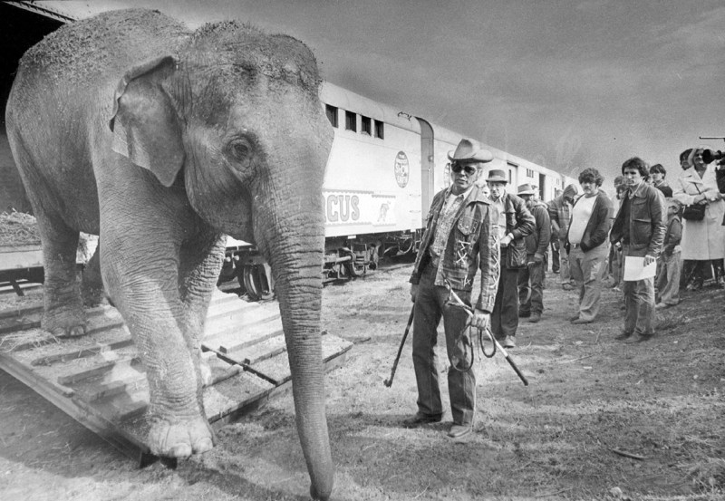 Ringling Bros.