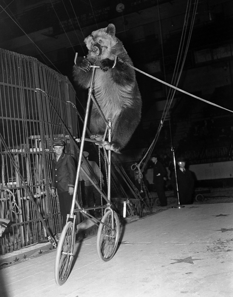 Ringling Bros.