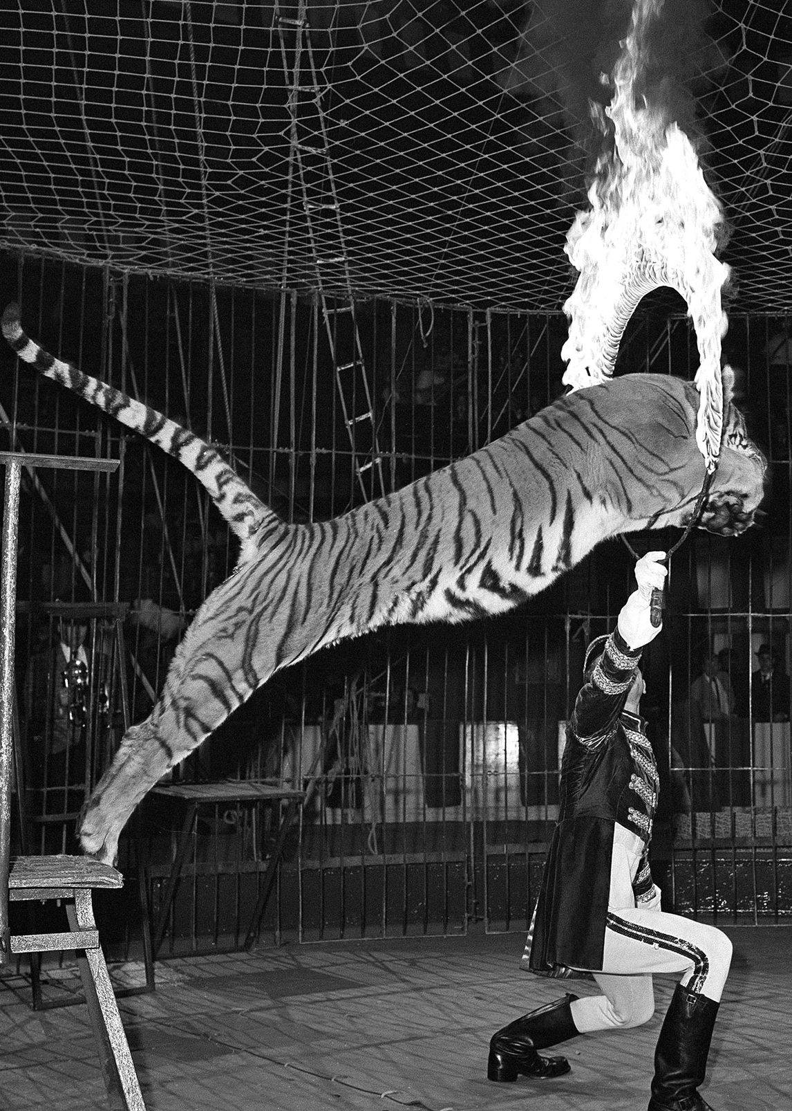 Ringling Bros.
