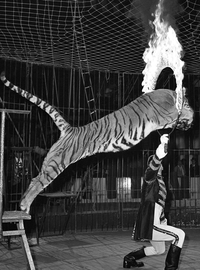 Ringling Bros.