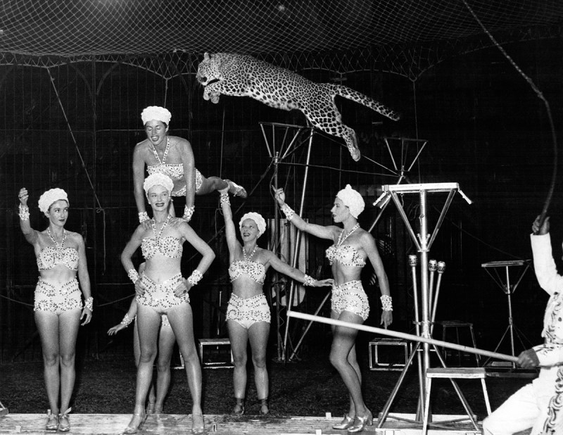 Ringling Bros.