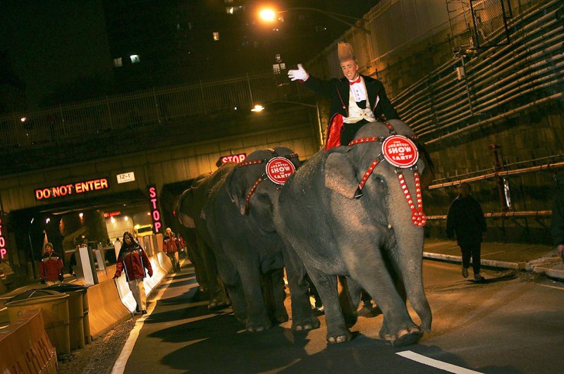 Ringling Bros.