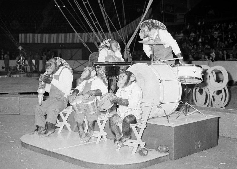 Ringling Bros.
