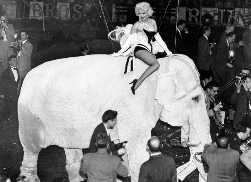 Ringling Bros.