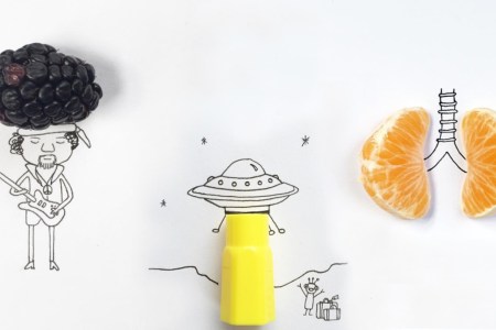 Neuroscience PhD student drawing #100daysoftinythings (dcossyle
/Instagram)