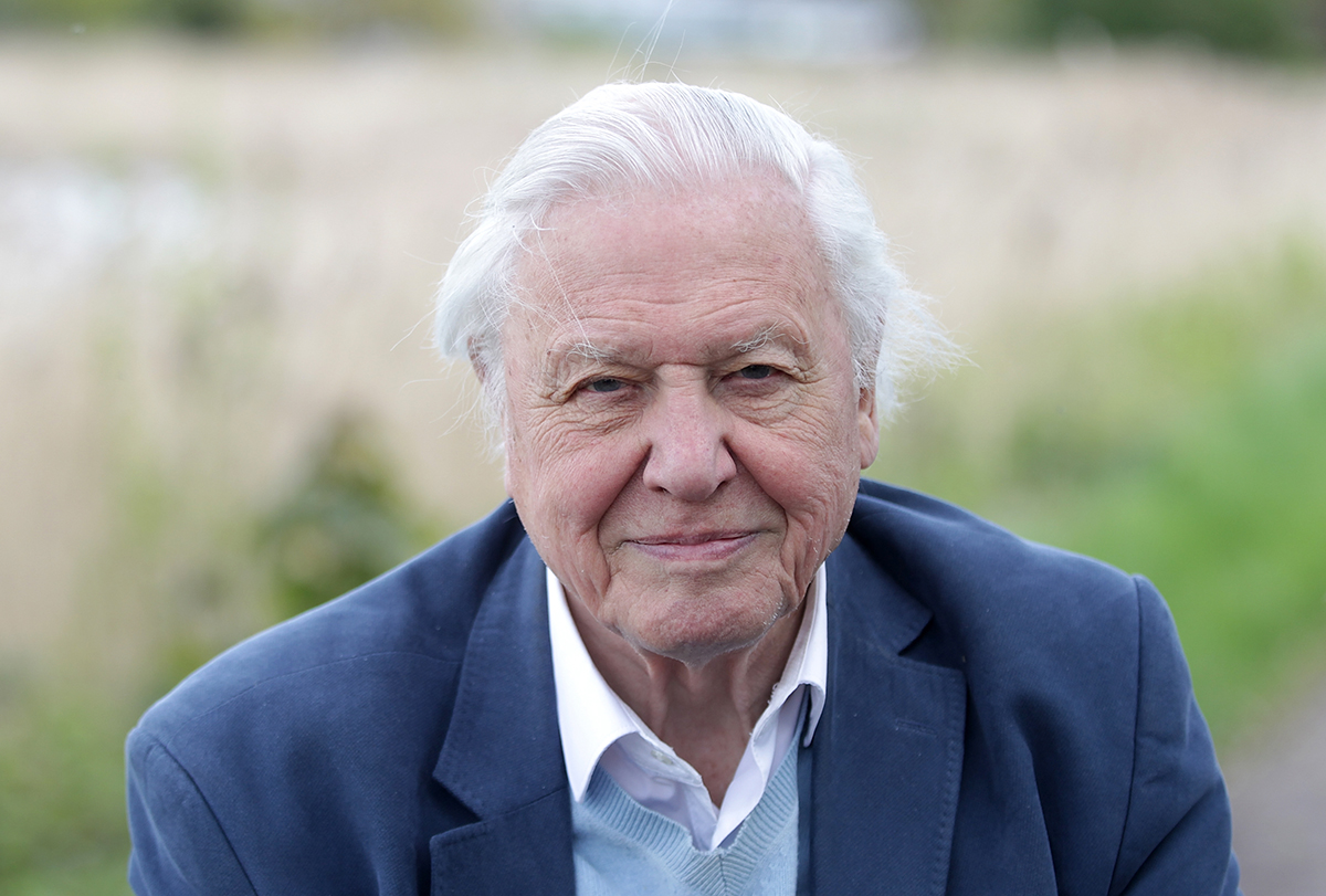 Sir David Attenborough opens Woodberry Wetlands on April 30, 2016 in London, United Kingdom. (Photo by Danny Martindale/WireImage)