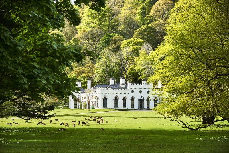 Ireland's Guinness Beer Castle for Sale