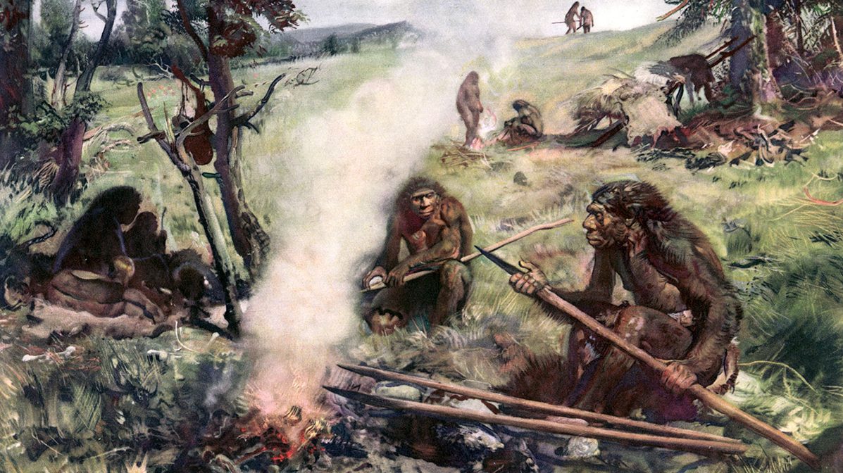 Partial Skull Discovered in Portugal Could Be Link to Earliest Human Ancestor