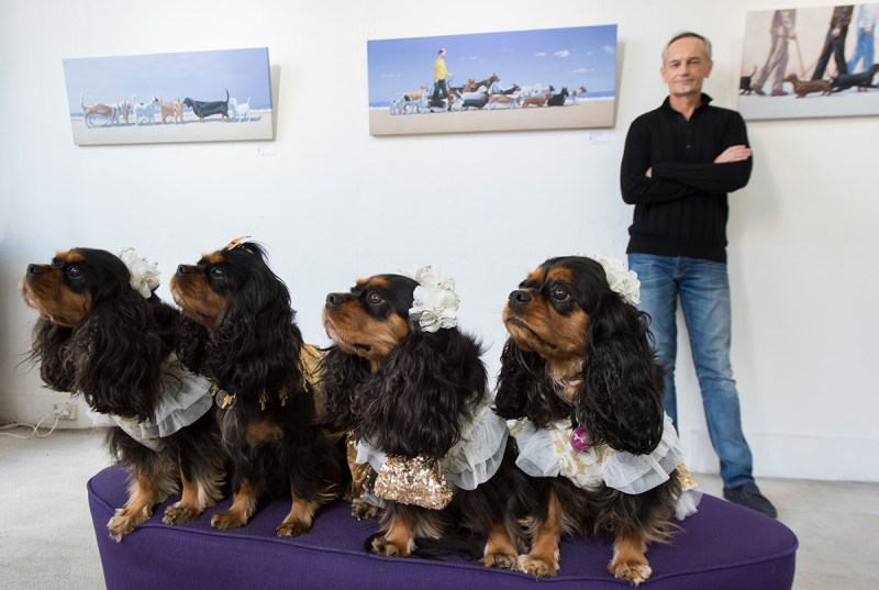 Artist Andrew Baines inside the Soho Galleries with some dogs on March 11, 2017 in Sydney, Australia. (James D. Morgan/Getty Images)