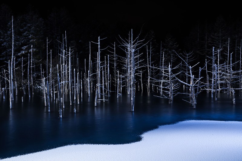 Sony World Photography Award Winners