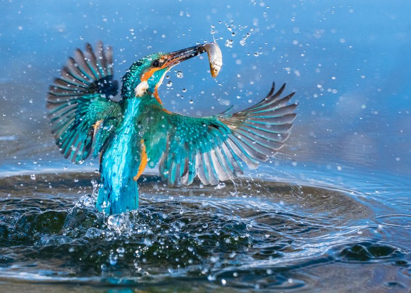 Sony World Photography Award Winners