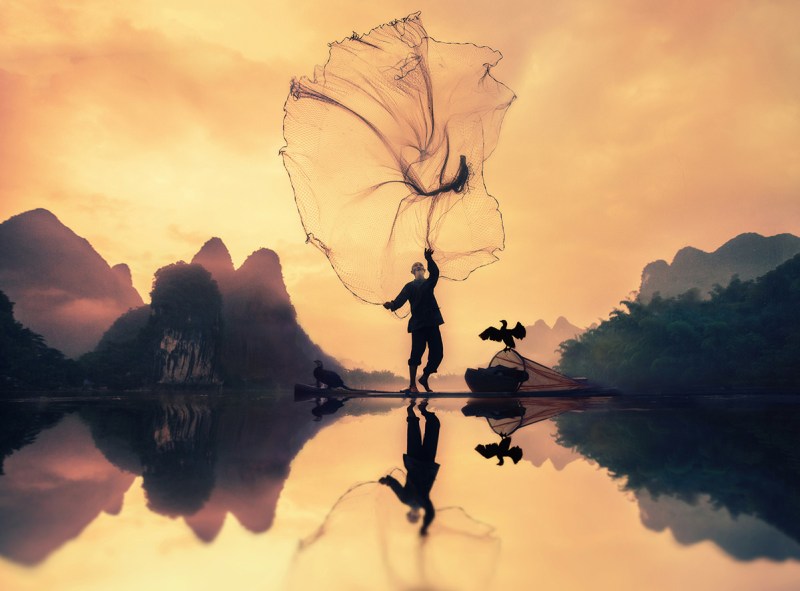 Sony World Photography Award Winners