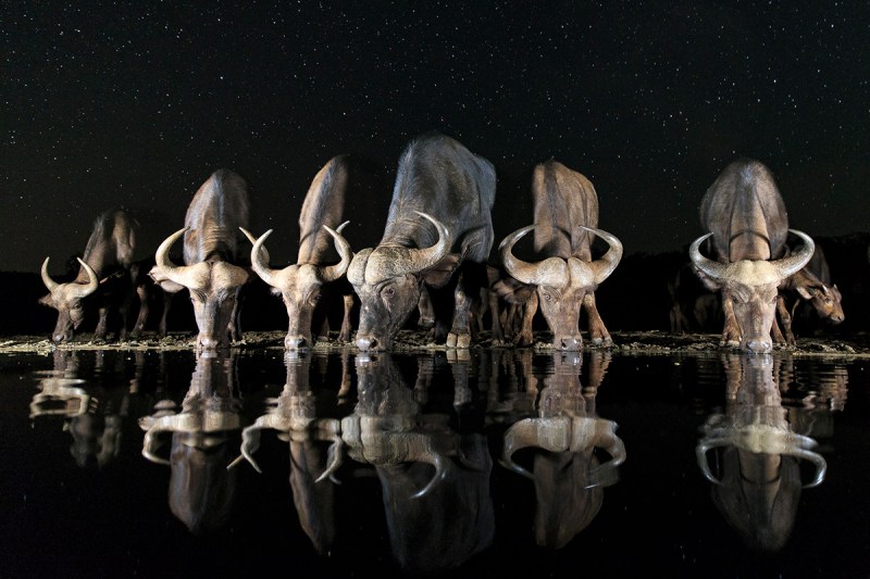 Sony World Photography Award Winners