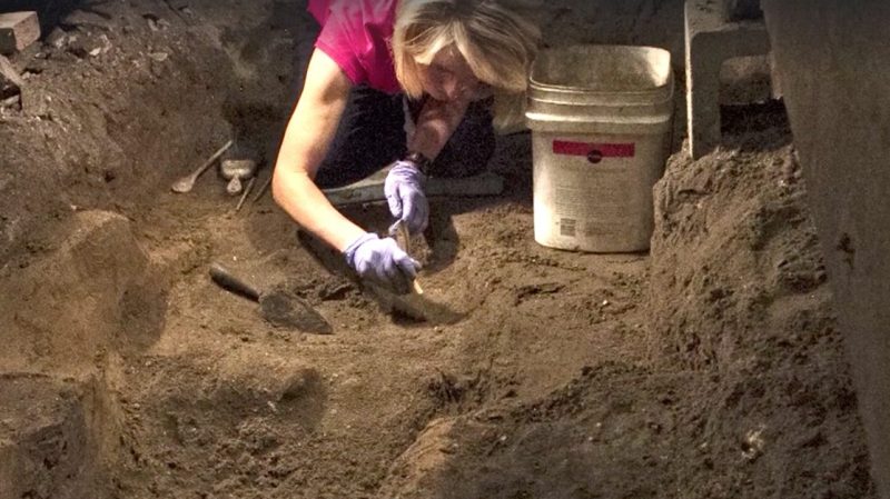 Human remains found at Fiesta Mall in St. Augustine