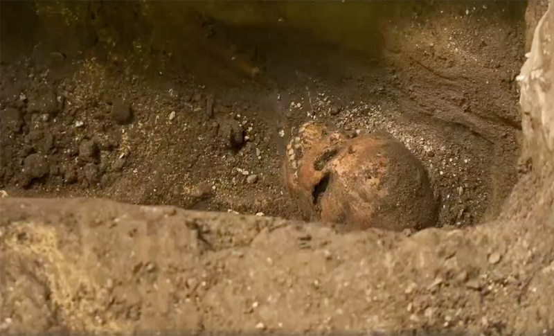Human remains found at Fiesta Mall in St. Augustine
