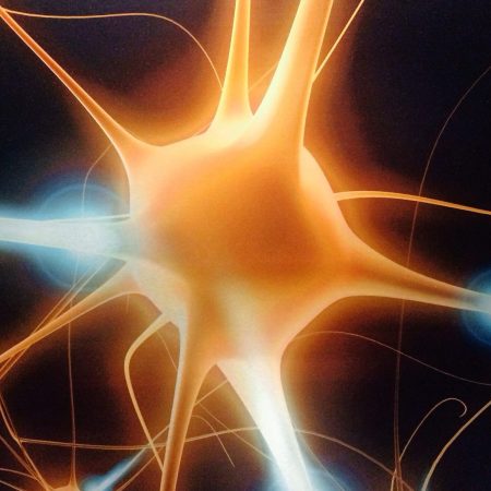 Brain Cell Therapy Could Provide Treatment for Parkinson’s Disease