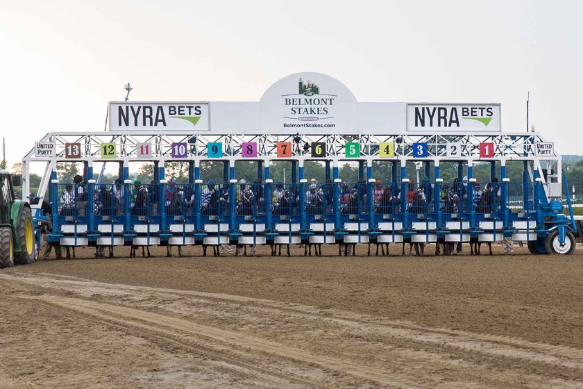 Billionaire's Guide to Horse Racing