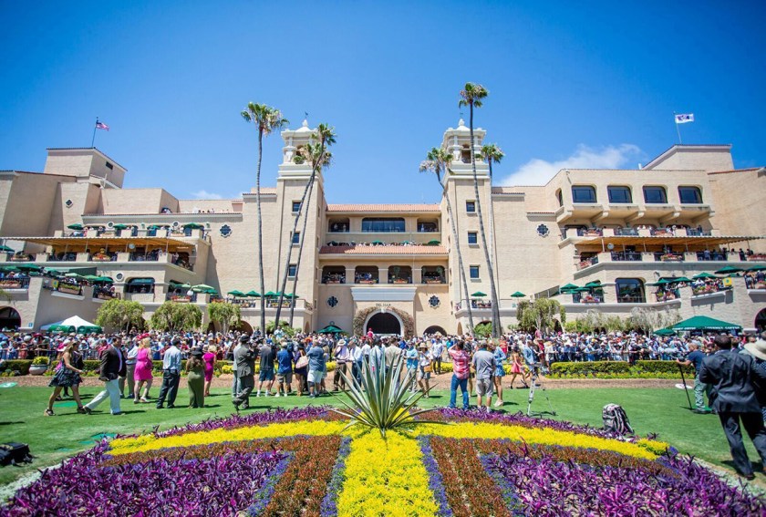 Billionaire's Guide to Horse Racing