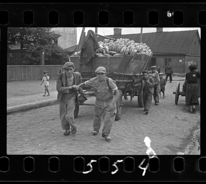 Lodz ghetto: Men hauling cart for bread distribution (Henryk Ross/Art Gallery of Ontario)