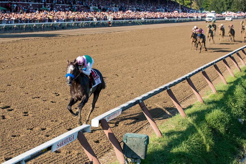 Billionaire's Guide to Horse Racing