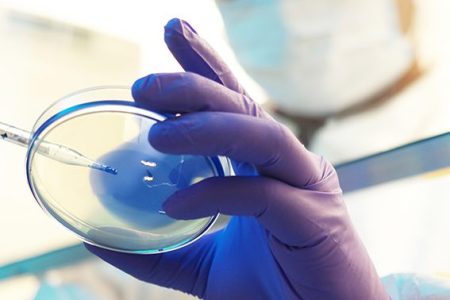 Scientist in a laboratory