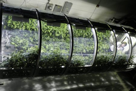 At the University of Arizona's Controlled Environment Agriculture Center, an 18 foot long, 7 foot, 3 inch diameter lunar greenhouse chamber is equipped as a prototype bioregenerative life support system.
(University of Arizona)